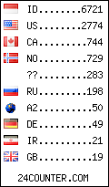 visitors by country counter