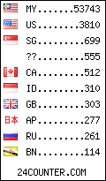 visitors by country counter