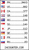 visitors by country counter