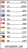 visitors by country counter