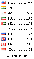 visitors by country counter