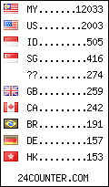 visitors by country counter