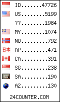 visitors by country counter