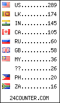 visitors by country counter