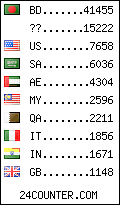 visitors by country counter