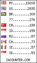 visitors by state counter