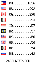 visitors by country counter