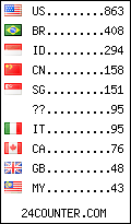 visitors by country counter