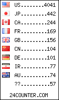 visitors by country counter