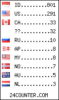 visitors by country counter