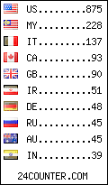 visitors by country counter
