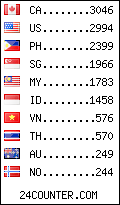 visitors by country counter