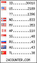 visitors by country counter