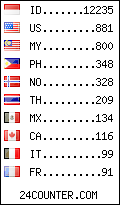 visitors by country counter