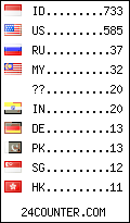 visitors by country counter