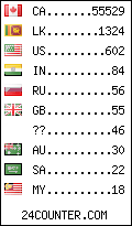 visitors by country counter