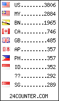 visitors by country counter