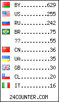 visitors by country counter