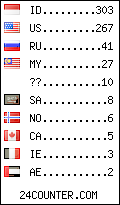 visitors by country counter