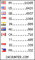 visitors by country counter