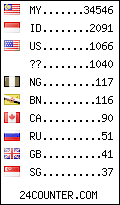 visitors by country counter