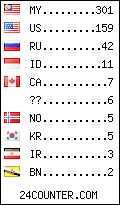 visitors by country counter