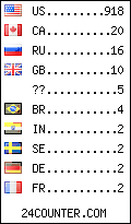 visitors by country counter