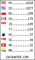 visitors by country counter