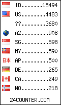 visitors by country counter