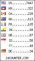 visitors by country counter