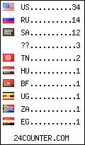 visitors by country counter