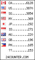 visitors by country counter