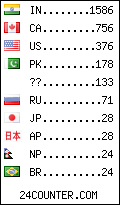 visitors by country counter