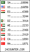 visitors by country counter