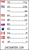 visitors by country counter