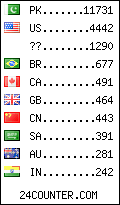 visitors by country counter