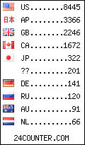 visitors by country counter