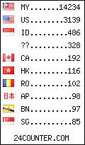 visitors by country counter