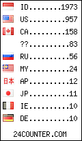 visitors by country counter