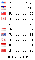 visitors by country counter