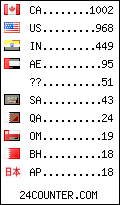 visitors by country counter