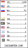 visitors by country counter