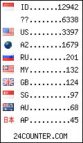 visitors by country counter