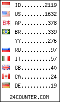 visitors by country counter