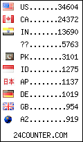 visitors by country counter