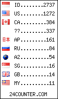 visitors by country counter