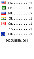 visitors by country counter