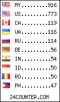 visitors by country counter