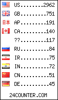 visitors by country counter