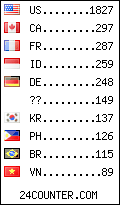 visitors by country counter